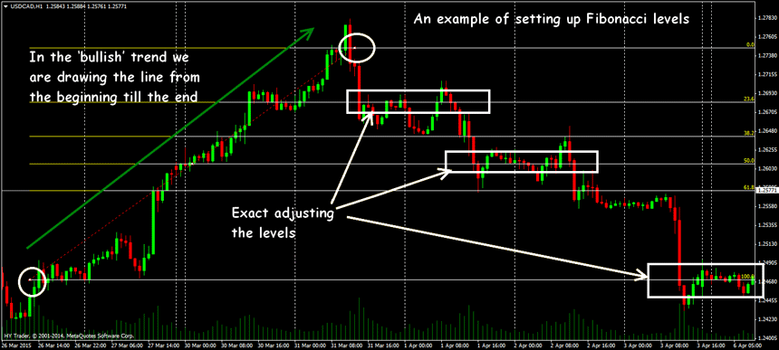 fibonacci trading