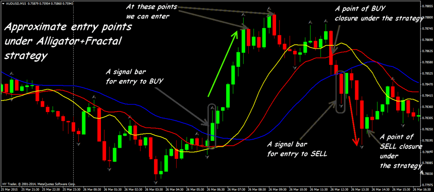 fractals forex trading