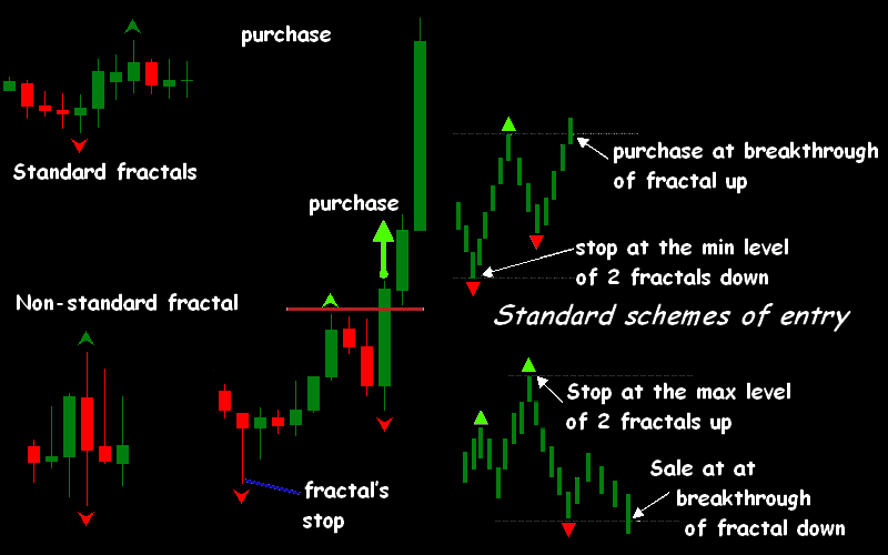 forex fractals