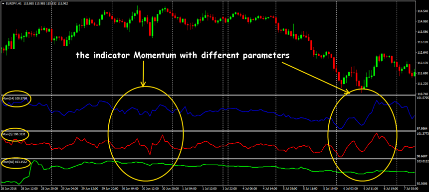 momentum trading forex